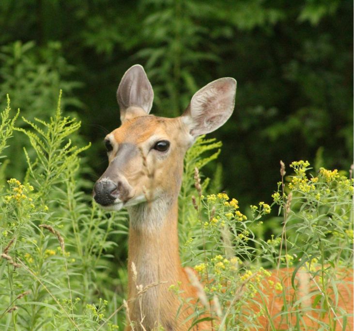 things to do for destination